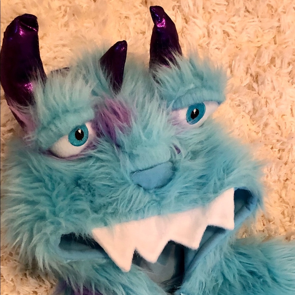 Monster Inc Sullivan costume 2T